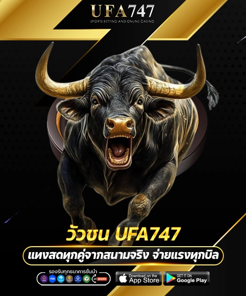 วัวชน UFA747