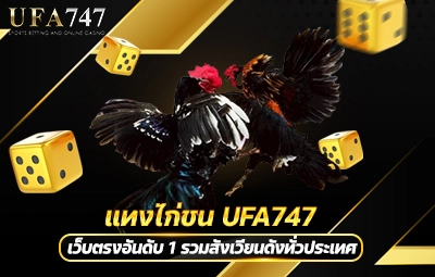 แทงไก่ชน