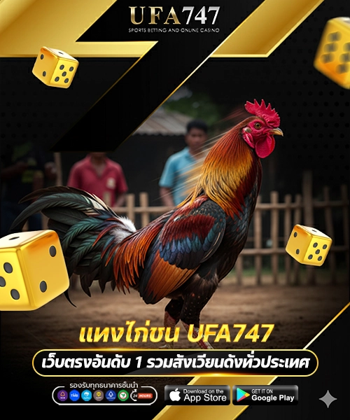 แทงไก่ชน